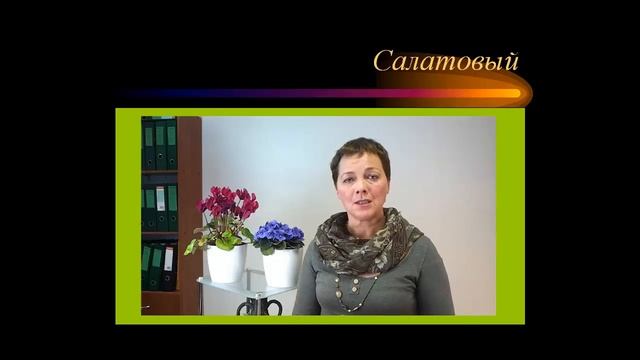 8_Свежесть салатового цвета. Психология цвета смотреть онлайн