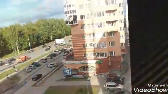 Хомка Laki просит like?Покупка хомки! смотреть онлайн