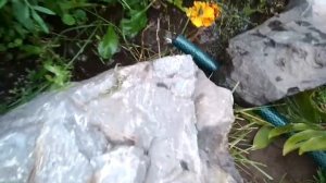 Как слить полностью воду из каркасного бассейна. Один из способов.