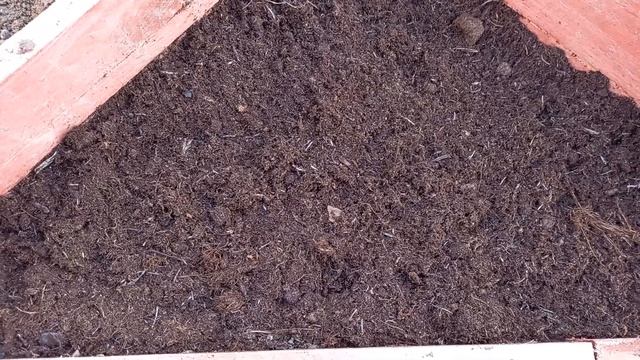 Бродиэя ( Brodiaea)посадка и уход в открытом грунте