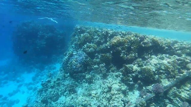 риф Domina Coral bay смотреть онлайн