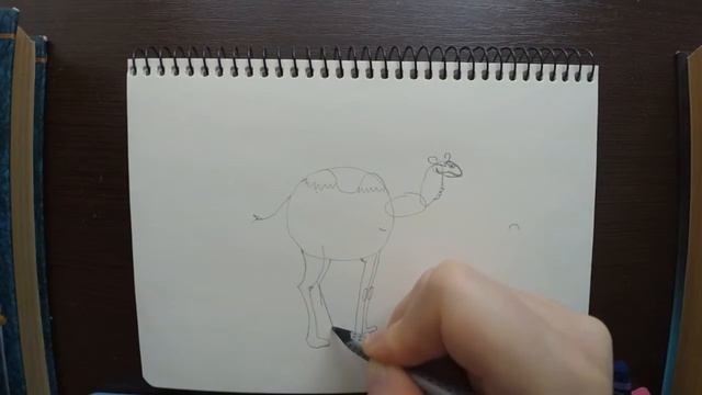 РИСУНКИ ДЛЯ ДЕТЕЙ #21 | Как нарисовать верблюда смотреть онлайн