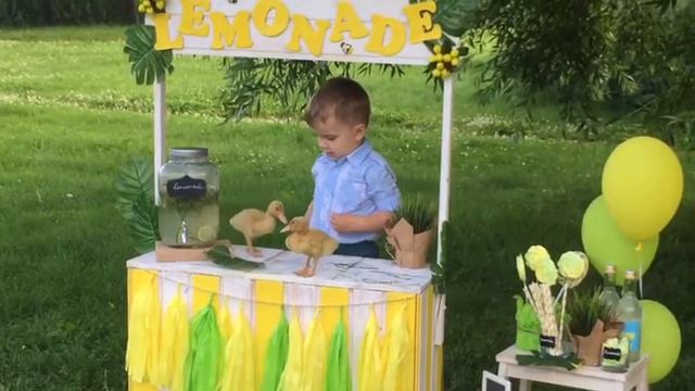 Фотопроект. Lemonad . Фотограф: Матвеева Марина смотреть онлайн