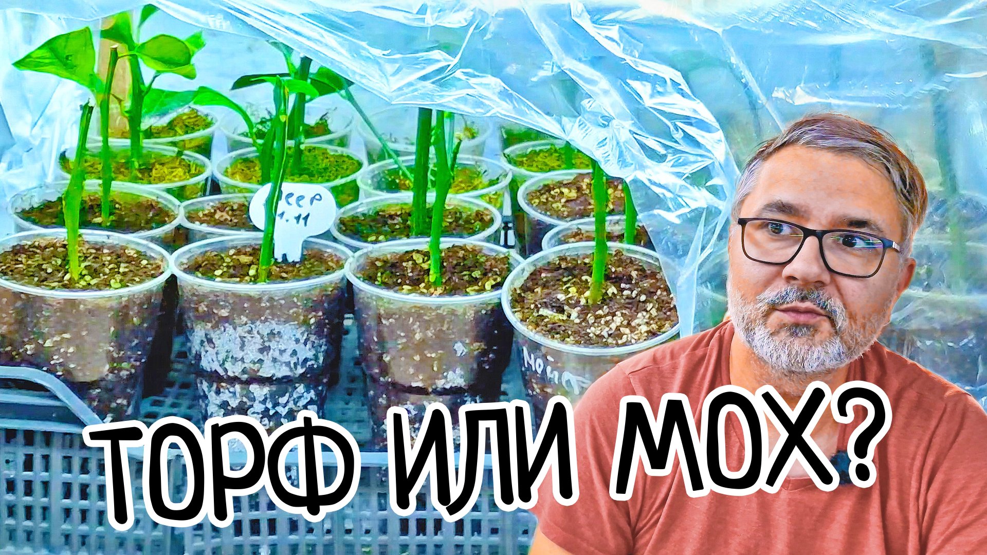 Какой ГРУНТ для укоренение черенков ТОРФ или МОХ! Вот это РЕЗУЛЬТАТ! Лучшие саженцы лимона мейера. смотреть онлайн