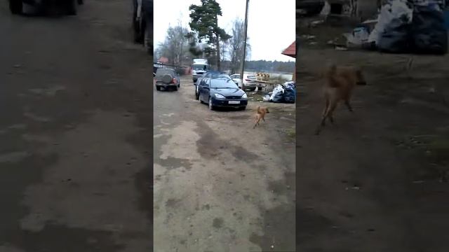 установка карба к151с на мерена(3) смотреть онлайн