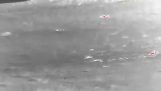 Guide TrackIR 50mm Thermal Collecting The Culls