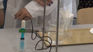 Школьники занимаются микроклонированием растений