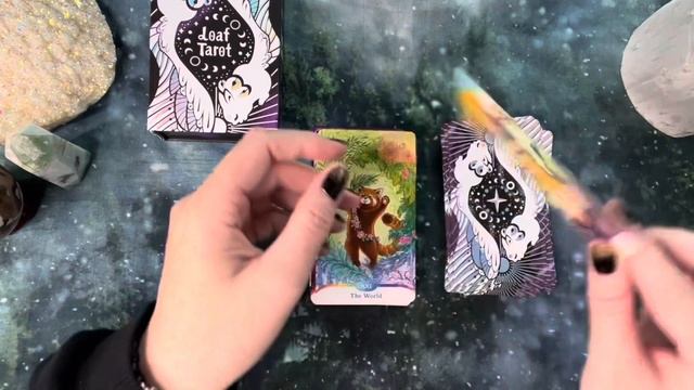 Loaf Tarot | Review & Unboxing смотреть онлайн