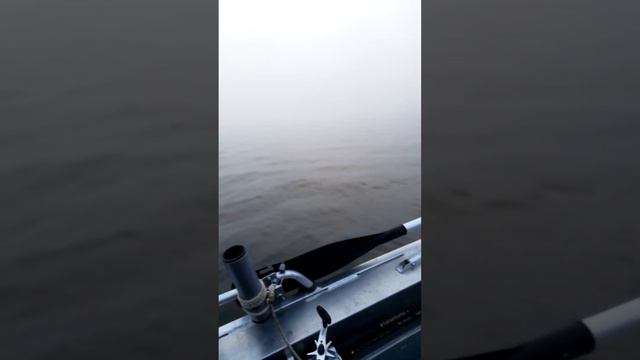 Квинтрекс 390 и Сузуки ДТ-15 смотреть онлайн