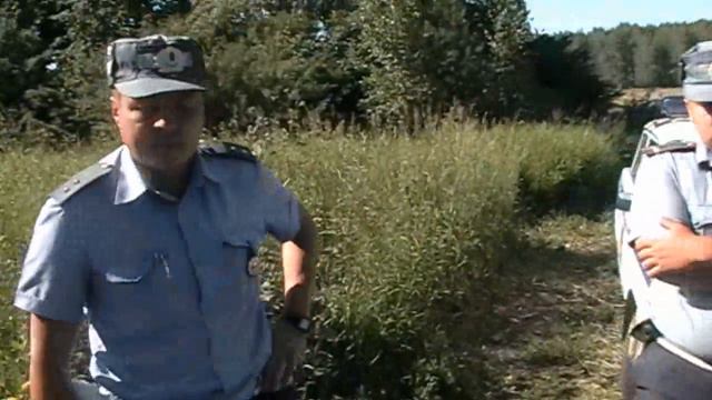 дпс Белоярский смотреть онлайн