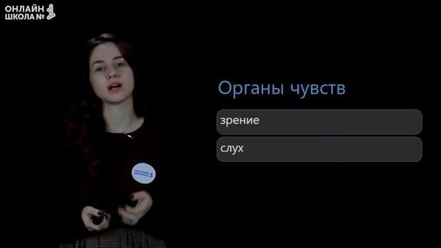 Организм человека. Видеоурок 17. Окружающий мир 3 класс смотреть онлайн
