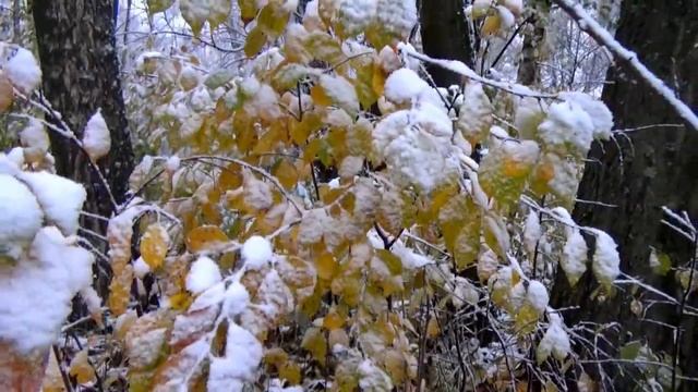 Первый снег в городе Вязники. Съемка 24.10.2023 смотреть онлайн