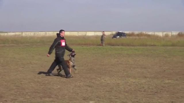 Vyatkins' Graham BH 60p - Odessa Kinologprofi Cup смотреть онлайн