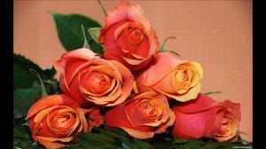 С днём рожденья тебя,мама, милая моя!!!