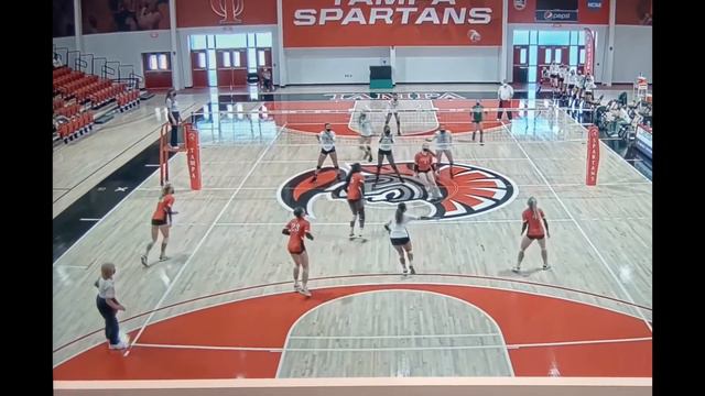 Morgan Allen Volleyball L/DS University of Tampa transfer смотреть онлайн