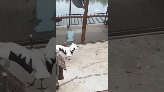 💯👍🥰 смотреть онлайн