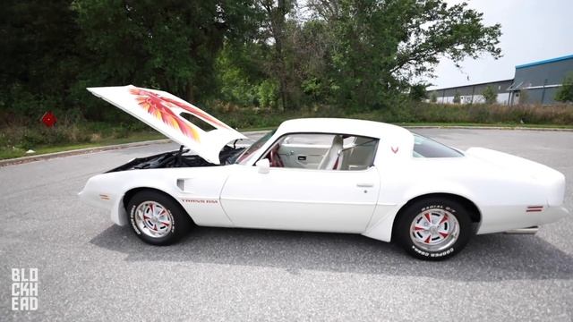 1979 Pontiac TRANS AM! (6.6 LITER V8!) смотреть онлайн