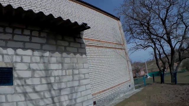 Дрессированный охотничий кот смотреть онлайн
