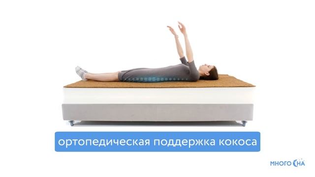 BeautyRoll Foam 10 Cocos | Видеообзор от МногоСна смотреть онлайн