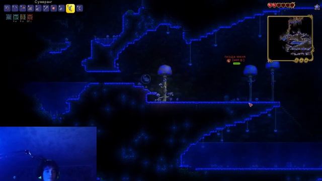 ПРОХОЖДЕНИЕ ТЕРРАРИИ НА ЭКСПЕРТ МОДЕ С ЛЁХОЙ !!!подрубил вебку!!! смотреть онлайн