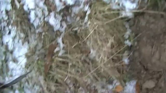 Что же скрывает эта богатая деревня? смотреть онлайн