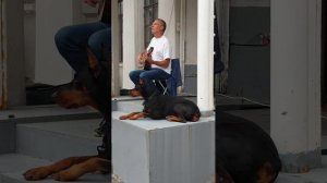 Мосвинтаж на территории Музея Москвы.