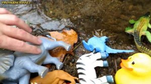 Wild Zoo Animals Names 🐅 Animal Toys Outdoors