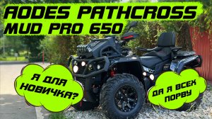 Выбор квадроцикла для новичка или бывалого? Новый Aodes Mudpro 650
