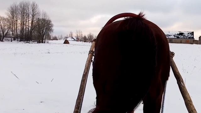 Разминка для Маши#влог #Latvija#деревенскийблогер#жизньвдеревне смотреть онлайн
