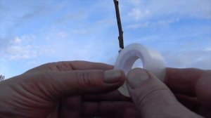 Прививка хурмы. Мастер класс от Степана Михайловича.