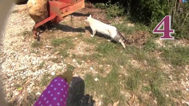 Как съесть невкусный суп - советы от бабы Гали