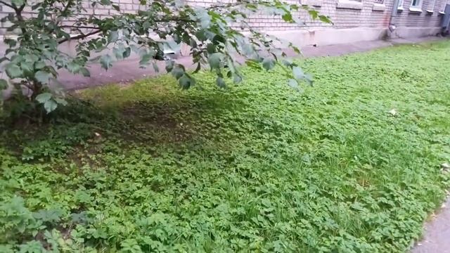 Звоним на мистические номера. смотреть онлайн