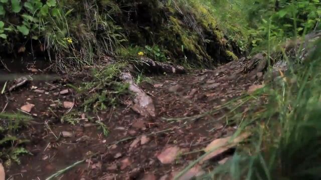 Specialized Epic www.dobrerowery.com.pl смотреть онлайн