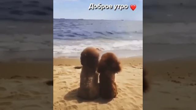 любовь смотреть онлайн