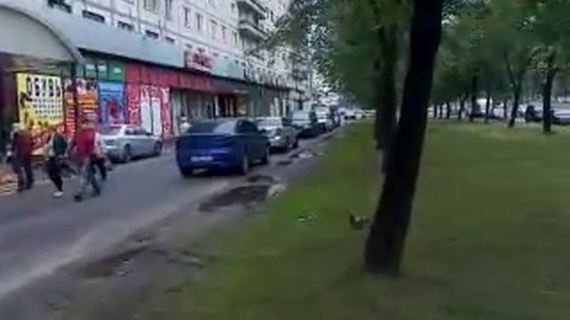 СПб пр Художников д 15 1 этаж смотреть онлайн