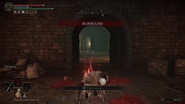 Elden Ring: Bleed Build (Dual Estoc) смотреть онлайн