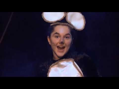 "Новогодние приключения попугая Андроши" - трейлер спектакля смотреть онлайн