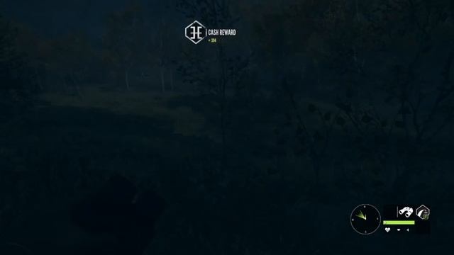Tips and Tricks for Night Hunting Thehunter CallOf The Wild смотреть онлайн