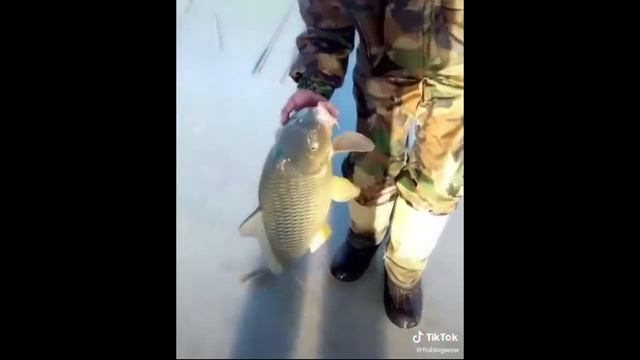 #21 Необычные случаи на рыбалке! смотреть онлайн