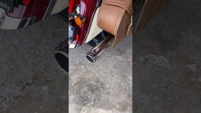 Rcx 4” stage 2 gutted cat смотреть онлайн