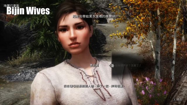 《上古卷軸5：無界天際（Skyrim）》模組推薦：美麗人妻（Bijin Wives） смотреть онлайн