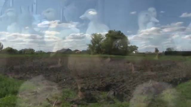 Многодетная семья Медведевых смотреть онлайн
