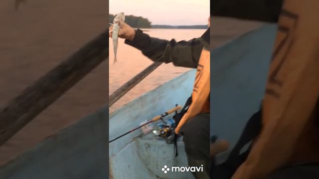 Отдых и Рыбалка на реке Вуокса смотреть онлайн