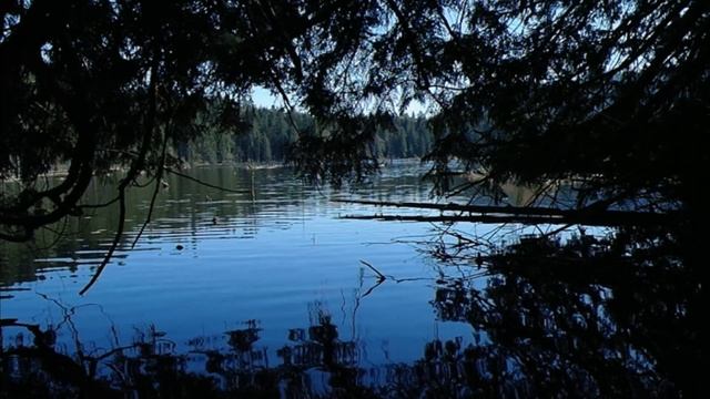 Всё равно пользы нет. Автор - Андрей Фролов. Мистическая история. Ужасы. ИсторииТО