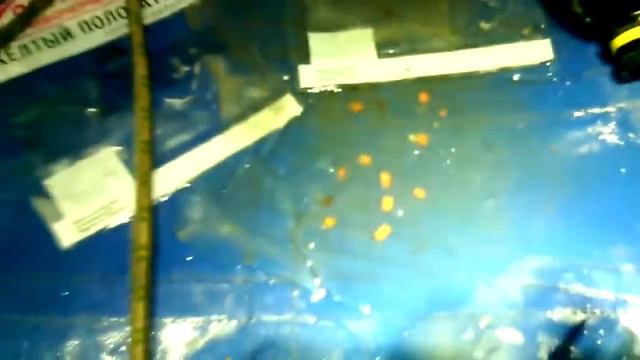 Сплав по реке Вижай в мае 2017. Хроники треш-туризма. смотреть онлайн