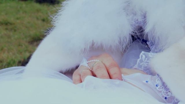 Wedding Vitaliy&Oksana смотреть онлайн
