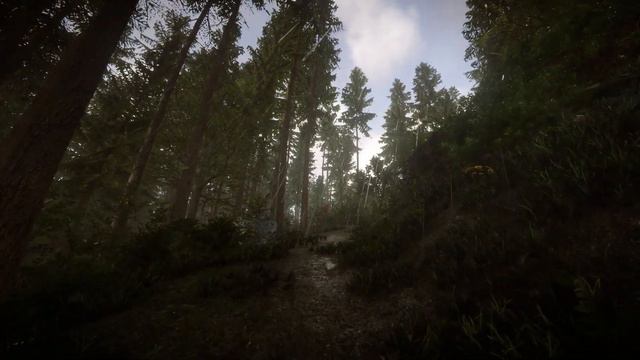 Sons Of The Forest - Relaxing Walk | Reshade Ray Tracing Ultra Settings