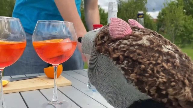 Кулинарное чудо на каждый день 