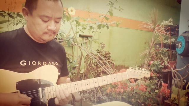 Fender Telecaster neck pick up смотреть онлайн