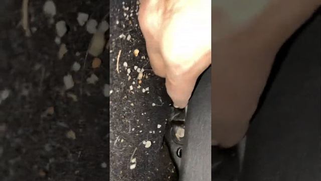 Не снимаются задние сиденья Чери Тиго т11 Chery Tiggo t11 (12год) смотреть онлайн